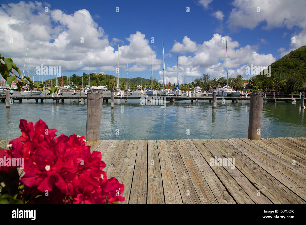 In Jolly Harbour, Santa Maria, Antigua, Isole Sottovento, West Indies, dei Caraibi e America centrale Foto Stock
