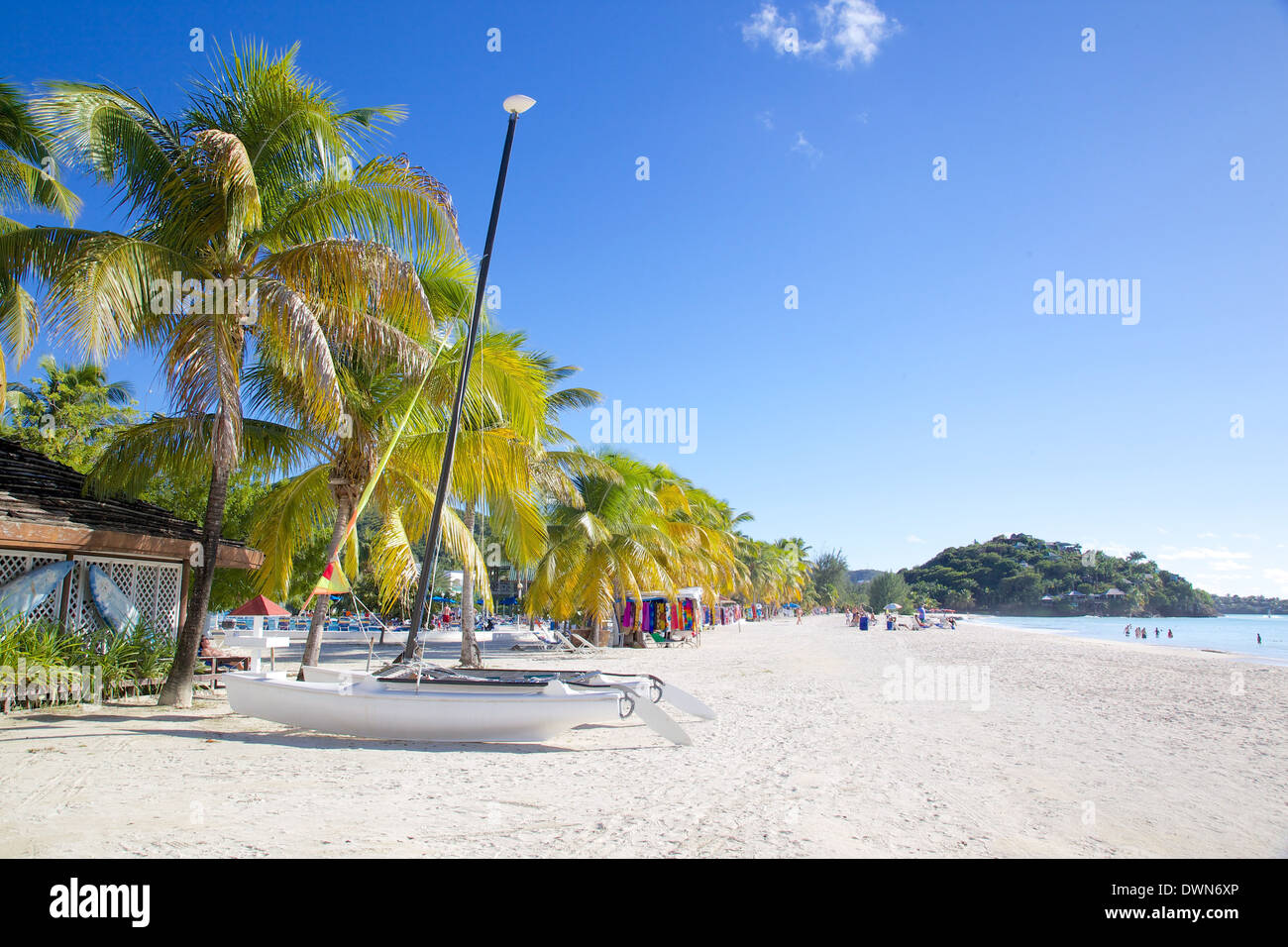 Spiaggia, Jolly Harbour, Santa Maria, Antigua, Isole Sottovento, West Indies, dei Caraibi e America centrale Foto Stock