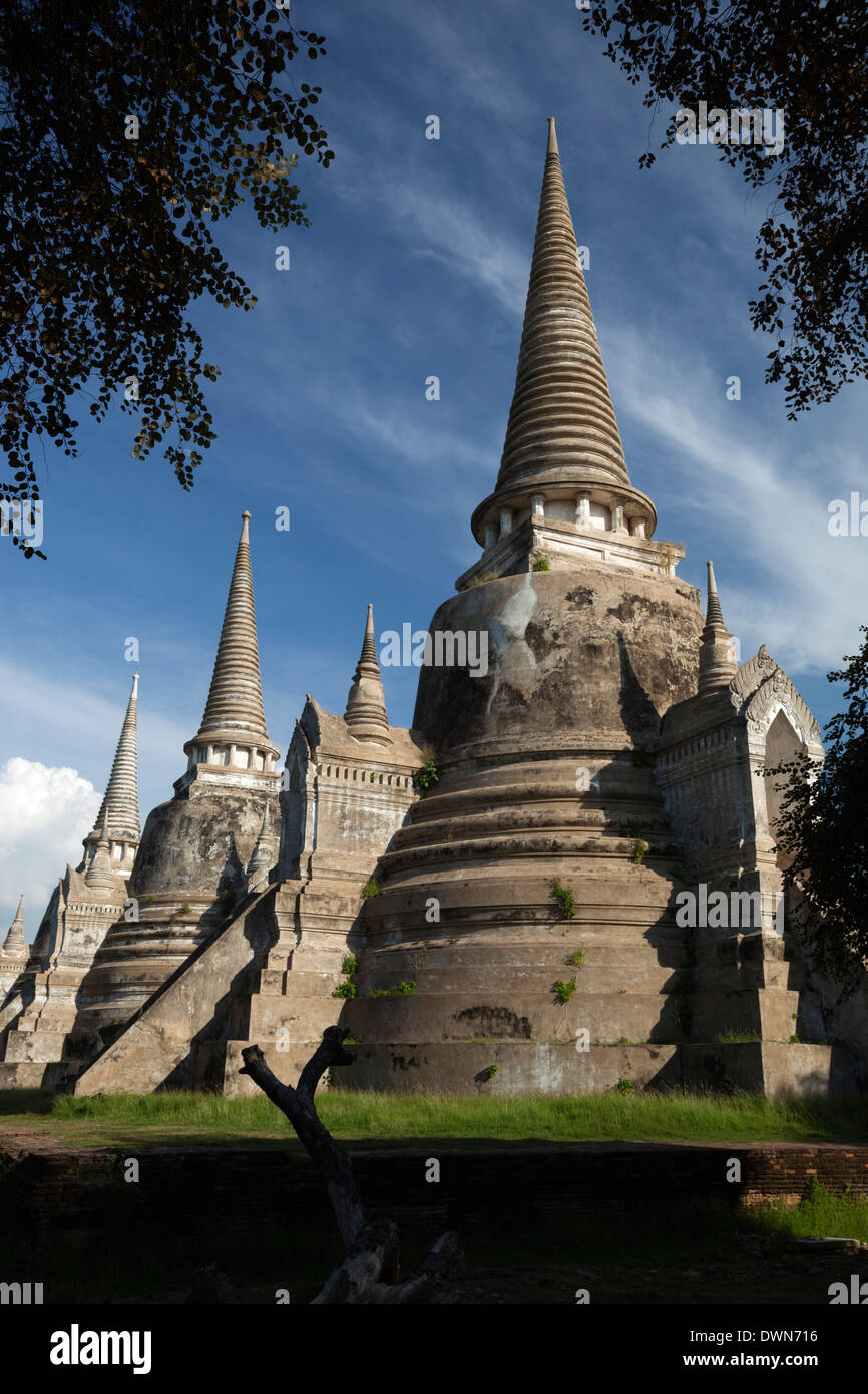 Rovine di Wat Phra Sri Sanphet, Ayutthaya, sito Patrimonio Mondiale dell'UNESCO, Provincia di Ayutthaya, Thailandia, Sud-est asiatico, in Asia Foto Stock