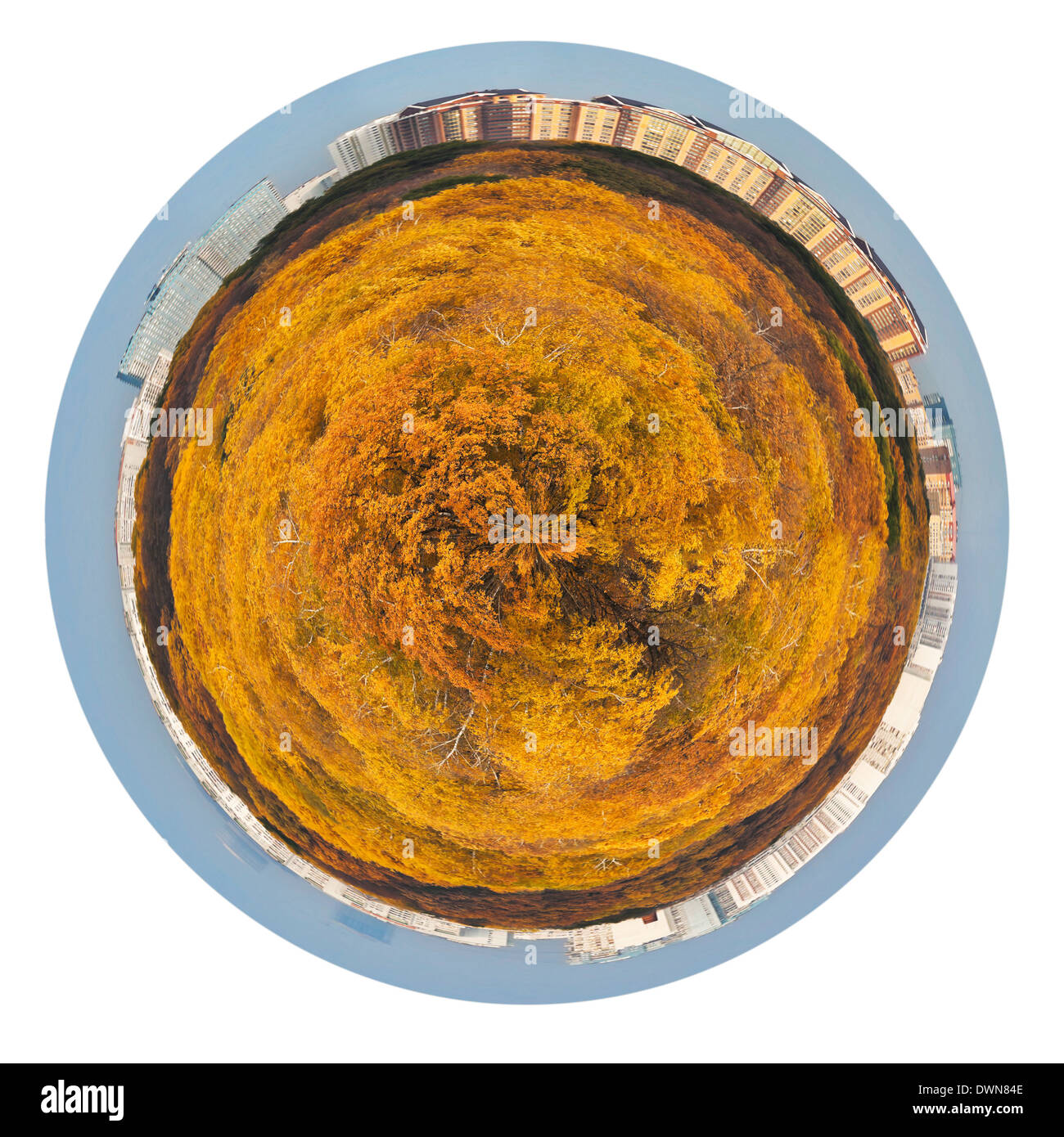 Piccolo pianeta - pianeta sferica con Giallo autunno foresta e case urbane isolati su sfondo bianco Foto Stock