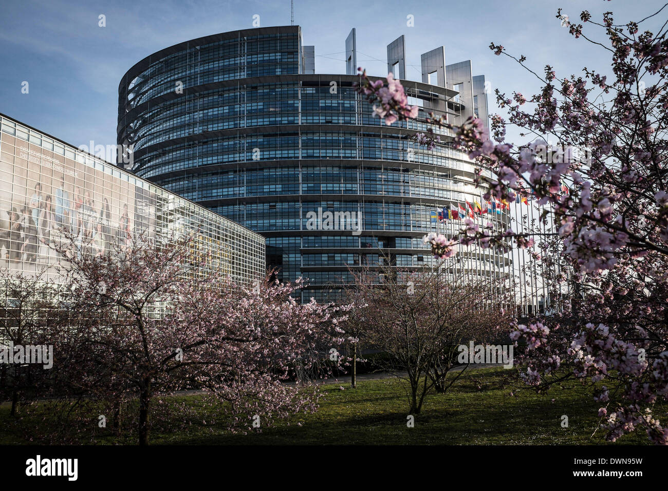 Strasburgo, BXL, Francia. Undicesimo Mar, 2014. Gli alberi fioriscono davanti al Parlamento europeo sede edificio di Strasburgo in Francia su 11.03.2014 © Wiktor Dabkowski/ZUMAPRESS.com/Alamy Live News Foto Stock