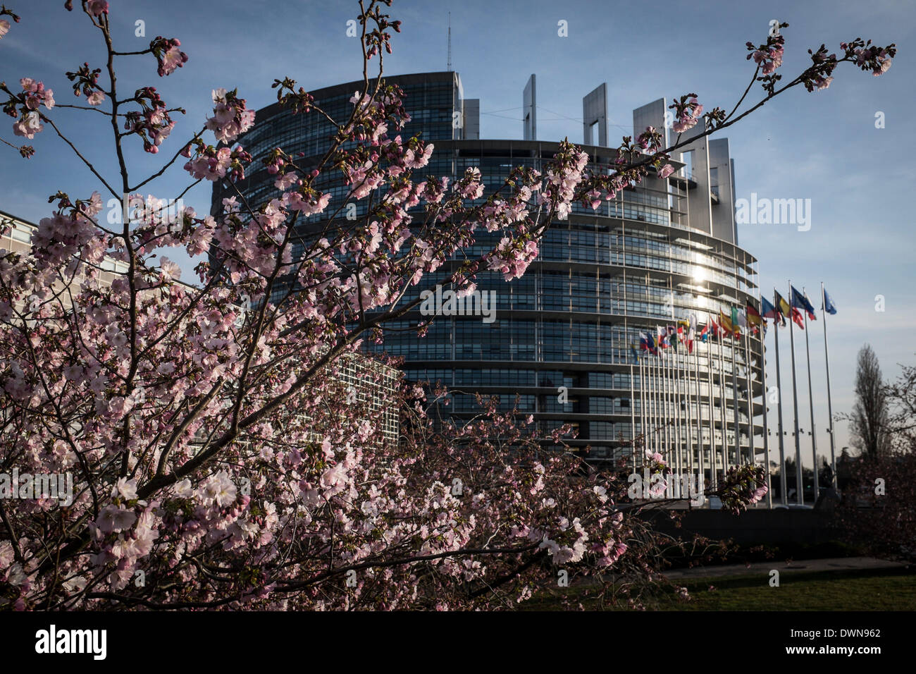 Strasburgo, BXL, Francia. Undicesimo Mar, 2014. Gli alberi fioriscono davanti al Parlamento europeo sede edificio di Strasburgo in Francia su 11.03.2014 © Wiktor Dabkowski/ZUMAPRESS.com/Alamy Live News Foto Stock