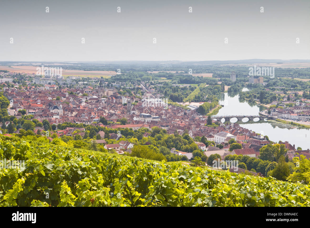 Guardando sopra i vigneti alla città di Joigny, Yonne, Borgogna, in Francia, in Europa Foto Stock