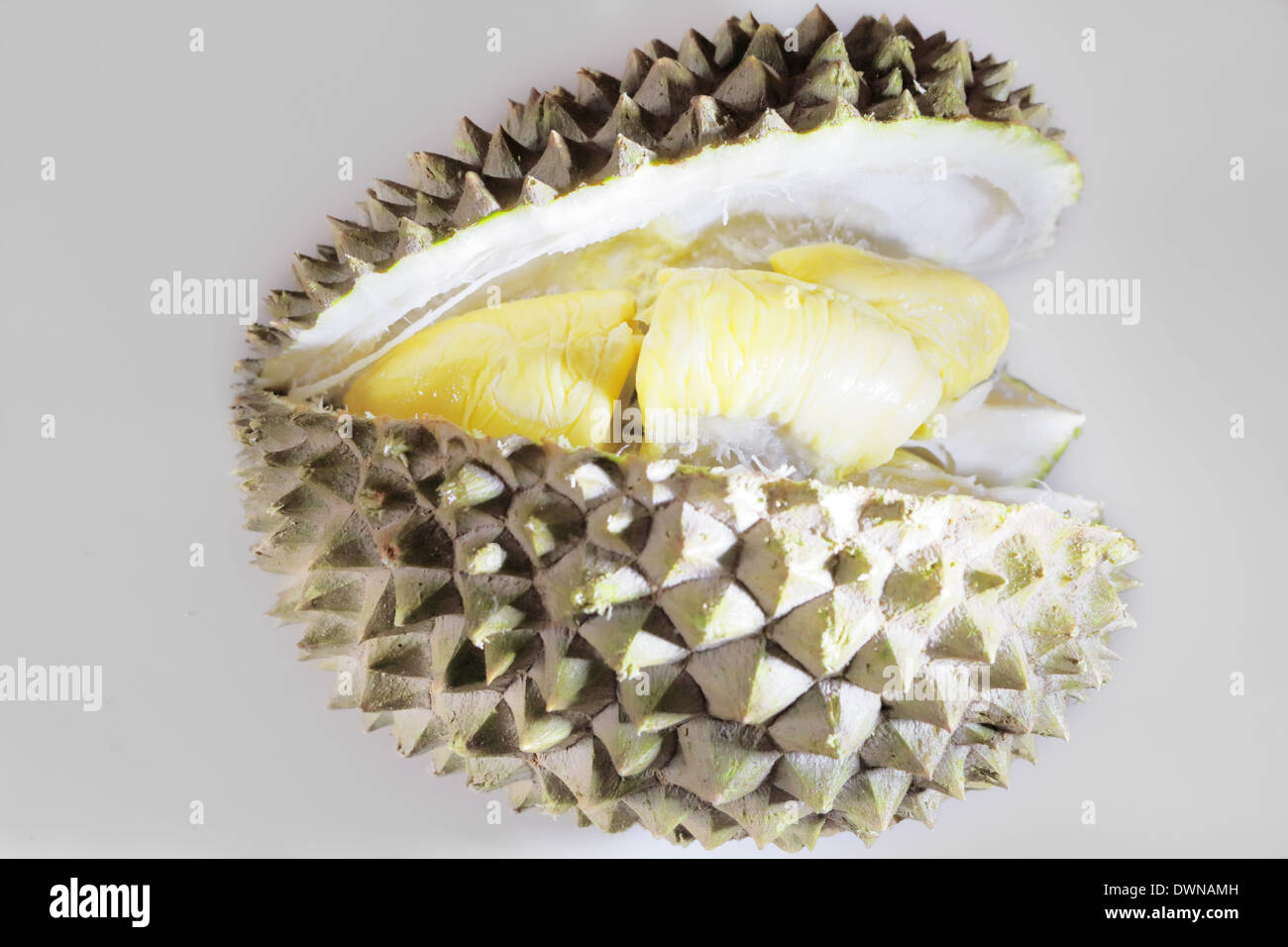 Giallo Cremosa polpa di frutta Durian Foto Stock