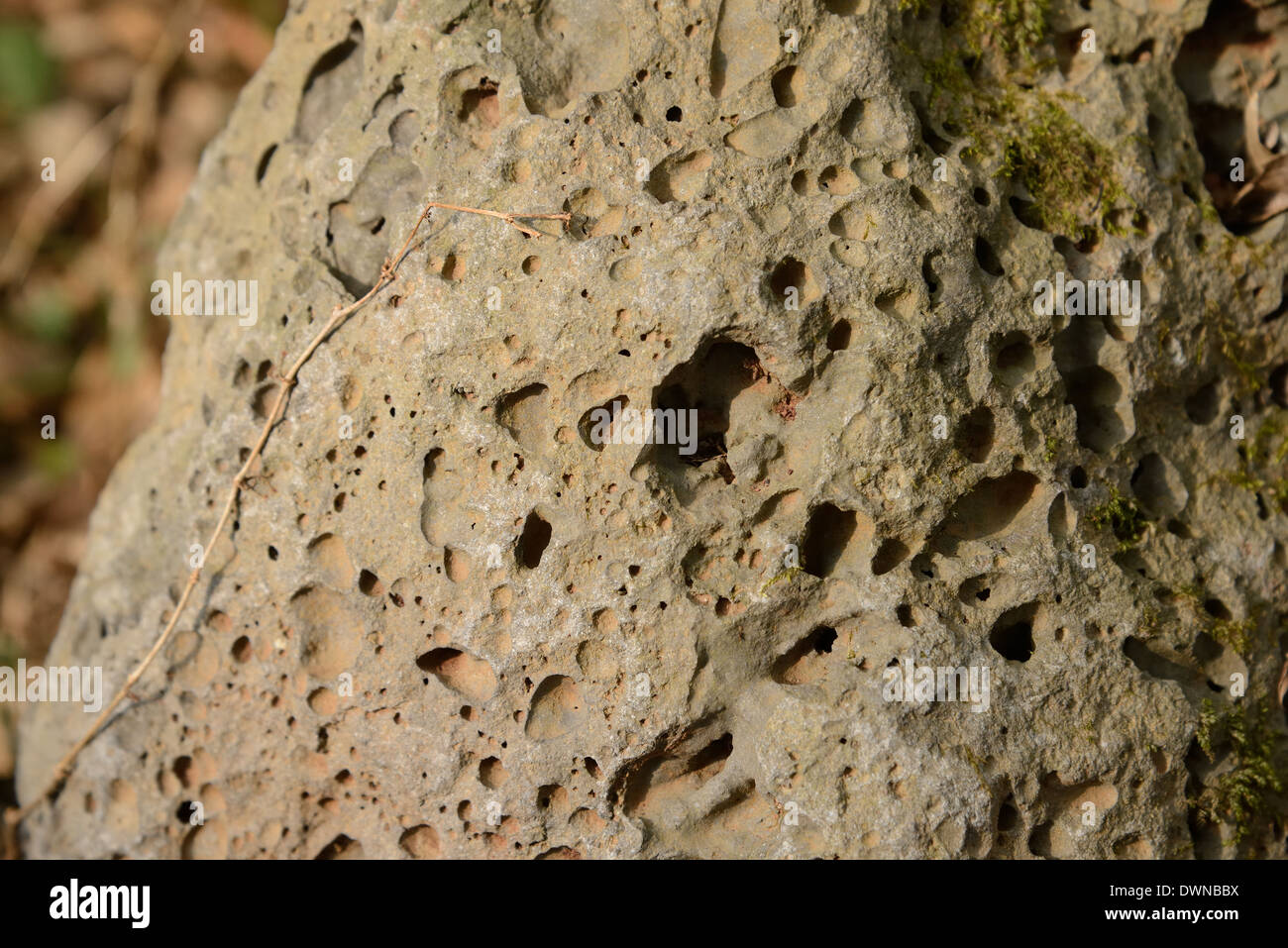 Close-up di basalto vescicolare superficie in Jeju Foto Stock