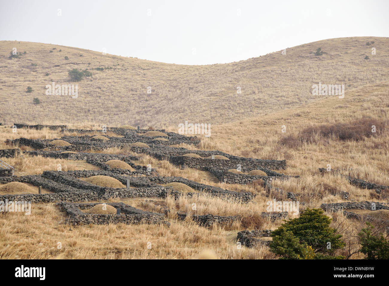 Grave generale fatta da basalto in Jeju Island, Corea Foto Stock