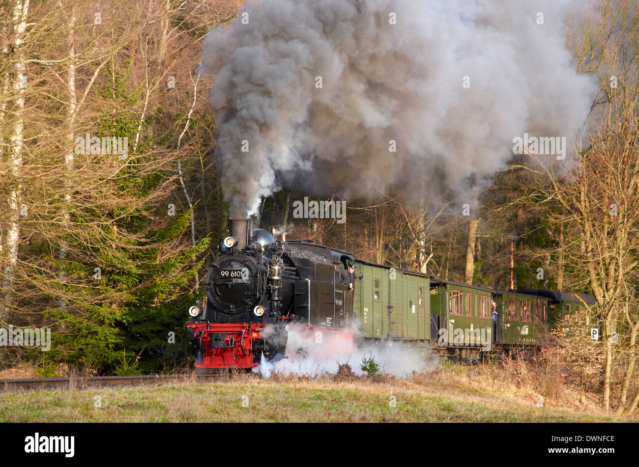 Harzer Schmalspurbahnen (HSB) treni nel Harz, Sassonia-Anhalt, Germania. Treno del patrimonio nei boschi vicino a Sternhaus Haferfeld. Foto Stock