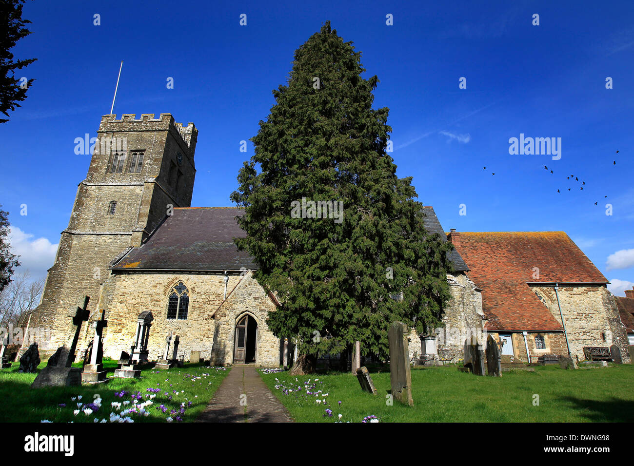 Vista generale della Chiesa Parrocchiale di San Michele Arcangelo, Smarden, Kent in una giornata di sole Foto Stock