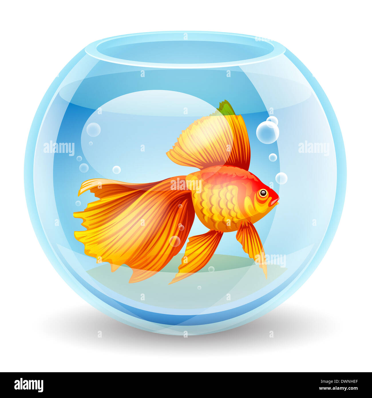 Realistica e dettagliata illustrazione vettoriale di un pesciolino in un acquario su sfondo bianco Foto Stock