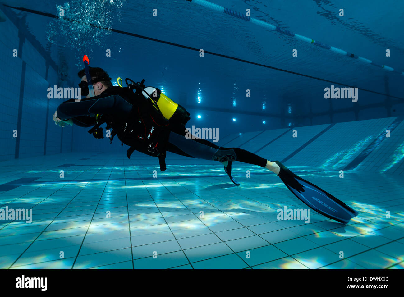 Addestramento subacqueo, fin perno, in una piscina, Norimberga, Baviera, Germania Foto Stock