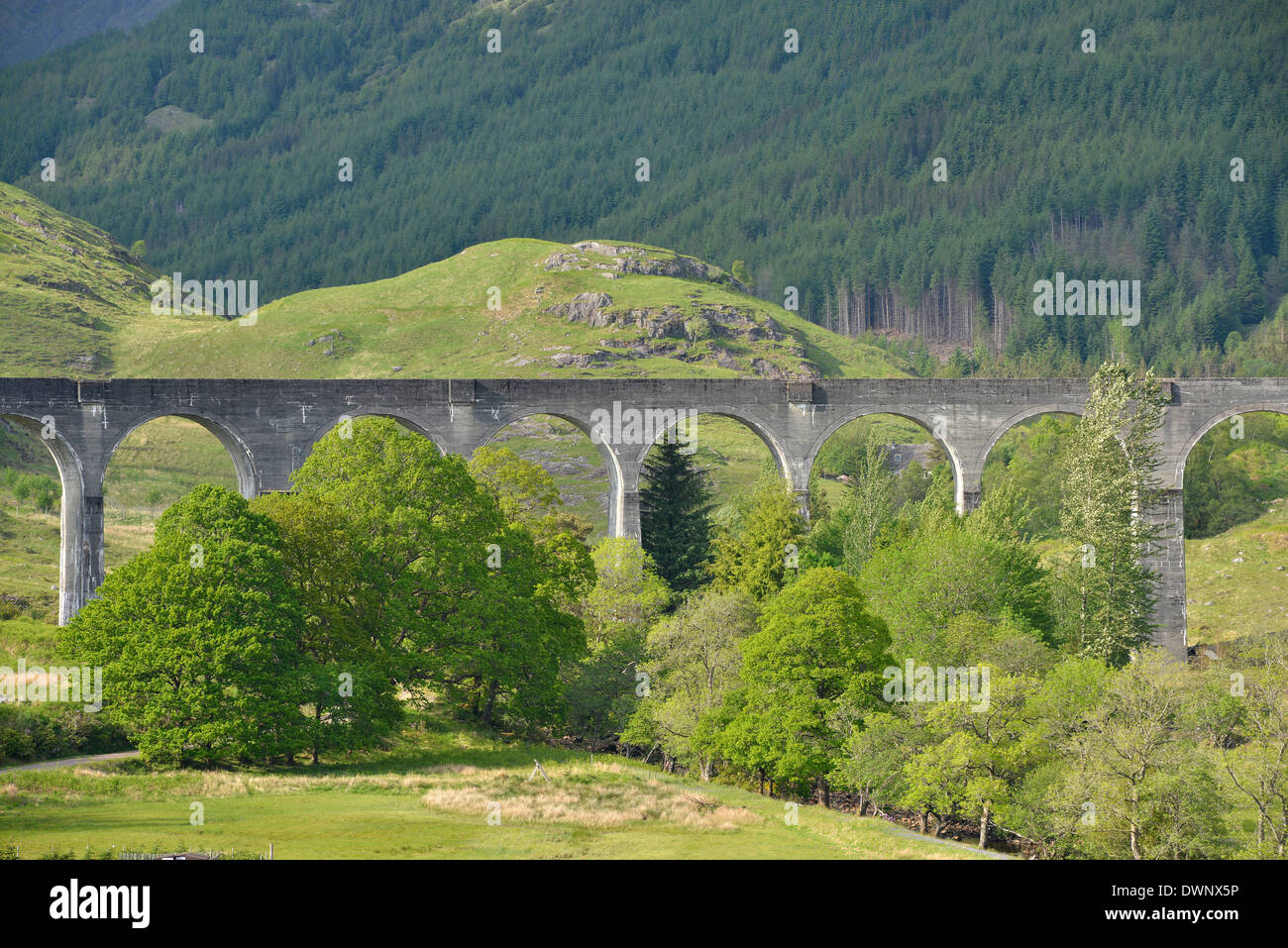 Viadotto Glenfinnan sul West Highland Line, utilizzato in Harry Potter film, Glenfinnan, Highlands scozzesi, Scozia Foto Stock