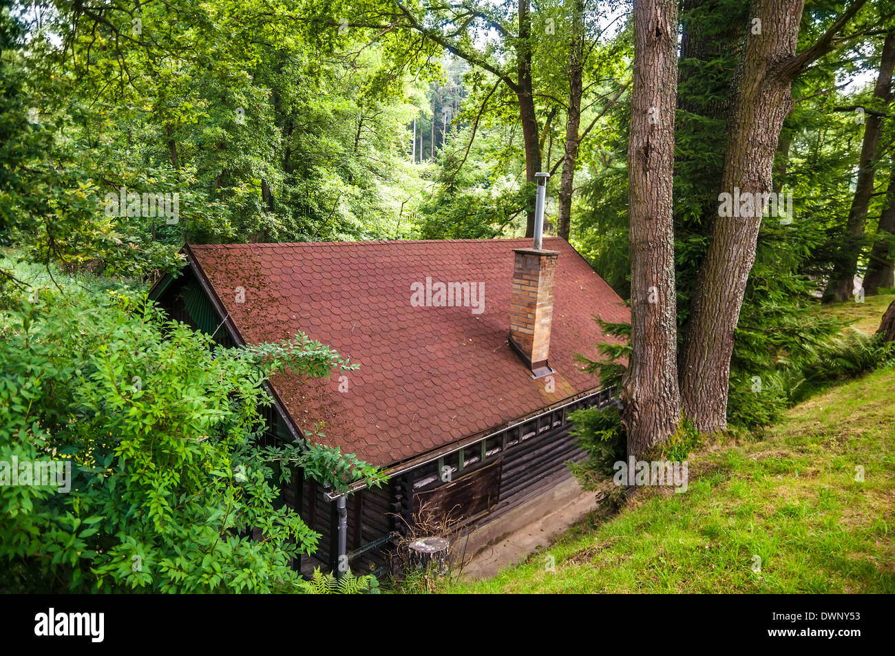 Lonely abbandonato casa in legno della foresta Foto Stock