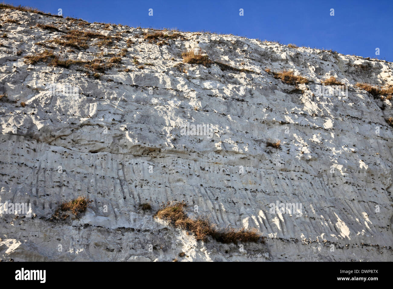 9348. Strati di Flint in Chalk Cliffs, Dover, Kent, Inghilterra Foto Stock