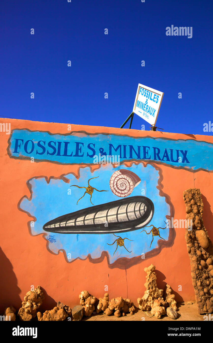Fossile e negozio di minerali, Rissani, Marocco, Africa del Nord Foto Stock