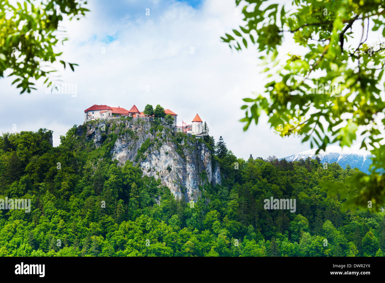 Il castello di Bled sulla montagna alta rupe, Slovenia Foto Stock
