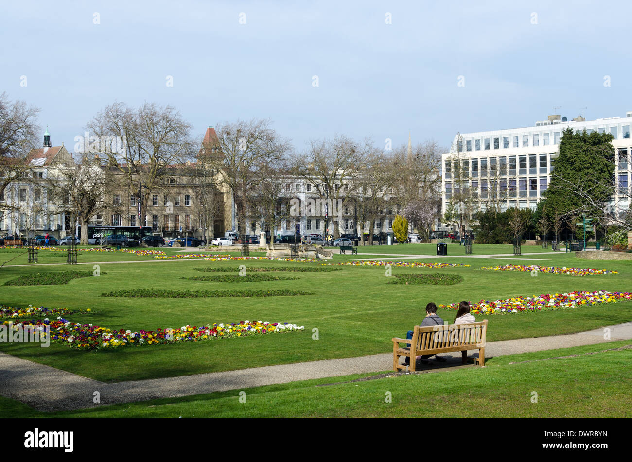 Molla di fioritura delle piante in Cheltenham Imperial Square e giardini Foto Stock