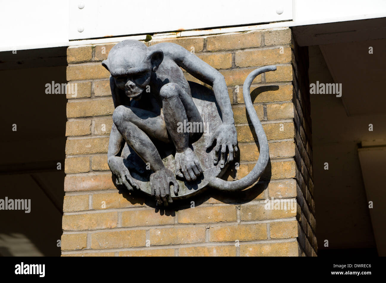 Arte pubblica sulla parete Mermaid Quay per la baia di Cardiff South wales uk Foto Stock