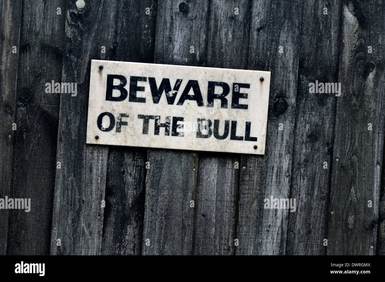 Attenti ai segni di Bull in campagna. Foto Stock