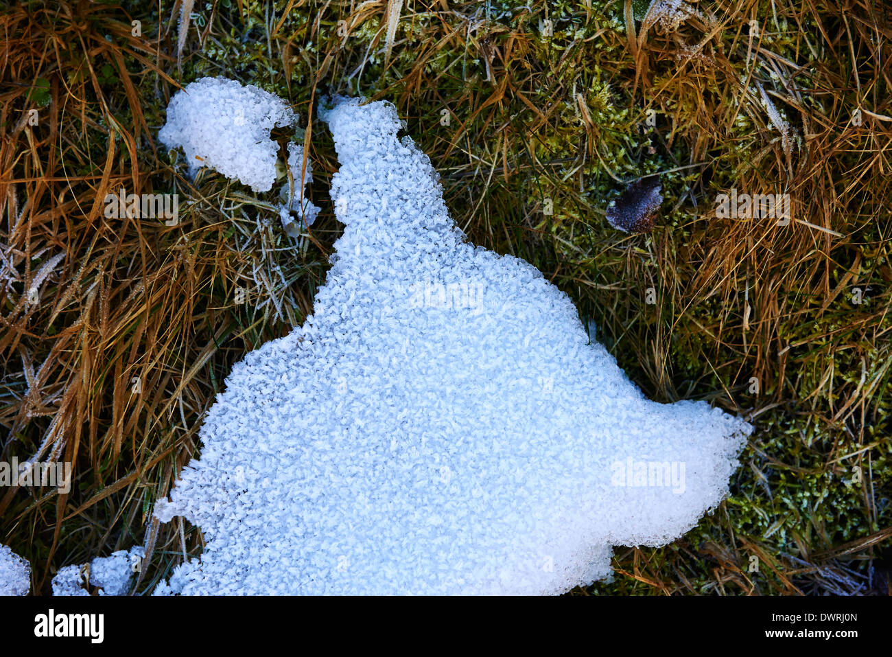 Il disgelo di neve di fusione su un prato Foto Stock