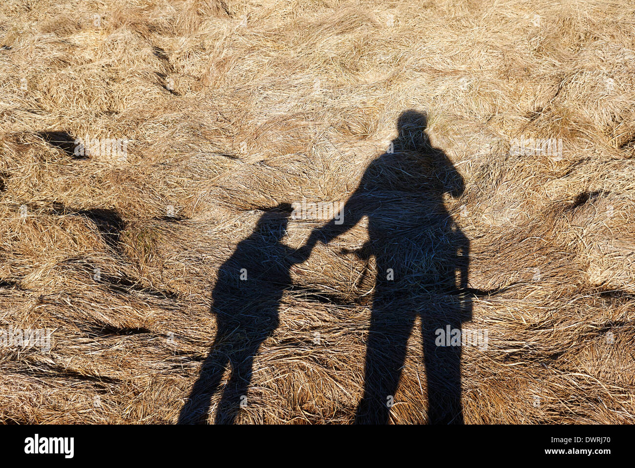 Ombra Selfie ritratto di fotografo - Padre con sua figlia sopra la molla vecchia erba prato Foto Stock