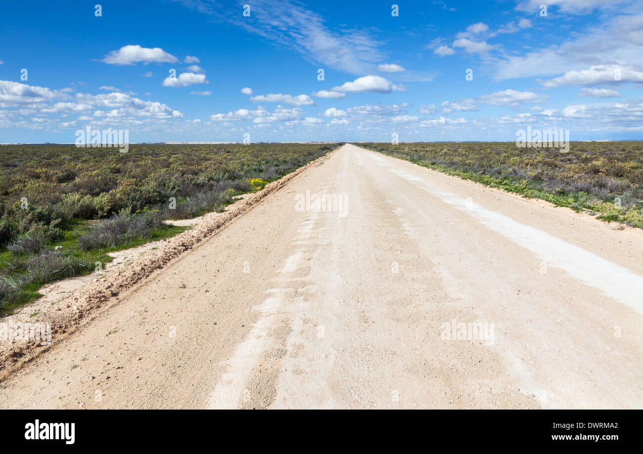 Telecomando Nuovo Galles del Sud è possibile vedere per miglia e le strade sono diritte Foto Stock