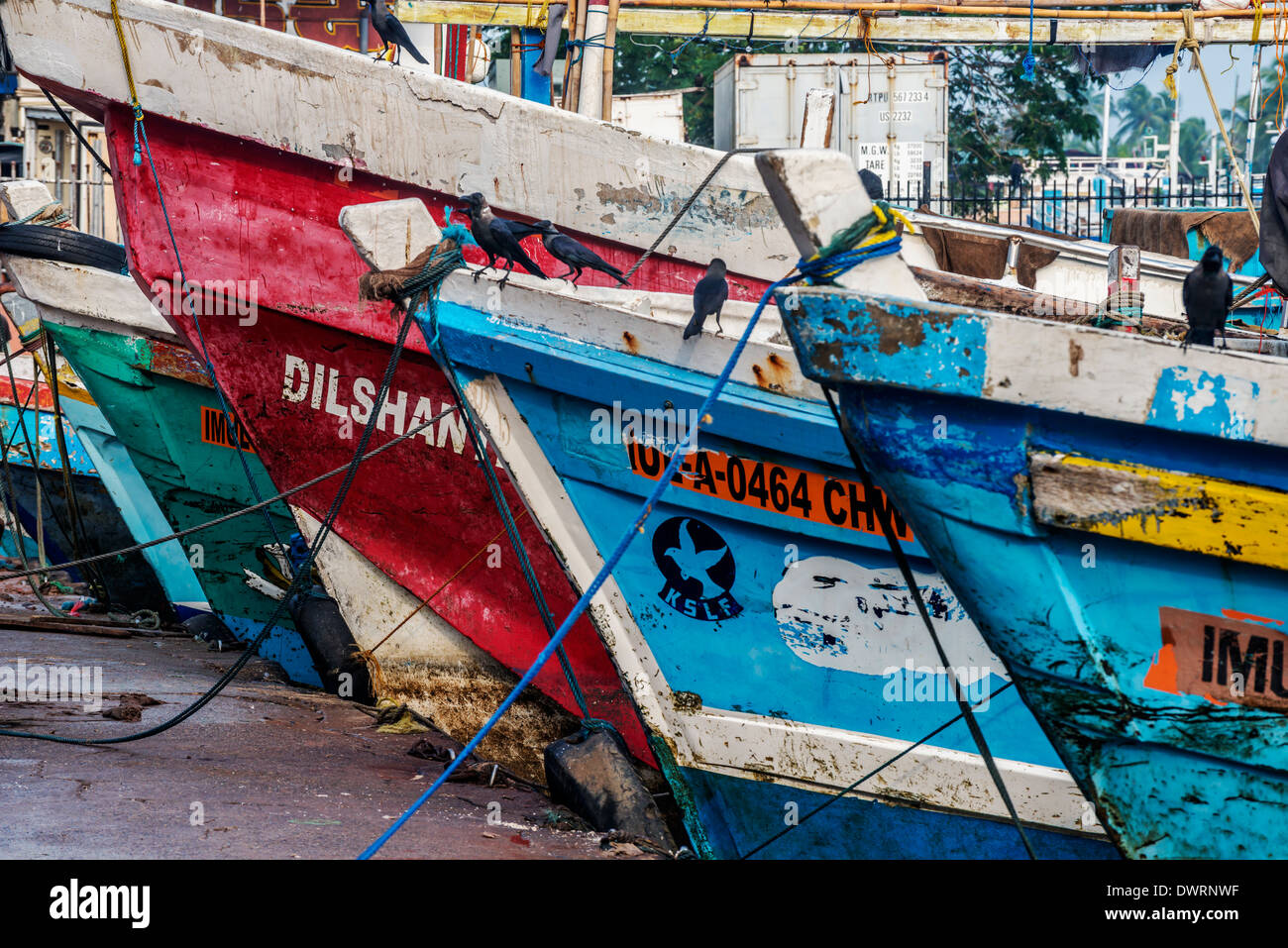 Coloratissime barche di pescatori a Negombo Sri Lanka Foto Stock