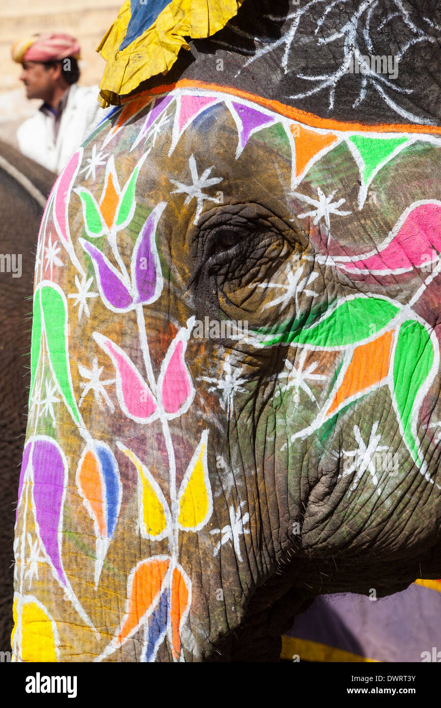 Ambra (o Amer) Palazzo, vicino a Jaipur, Rajasthan, India. Colorfully-decorate elefanti adottare i visitatori fino il sentiero ripido al Palace. Foto Stock