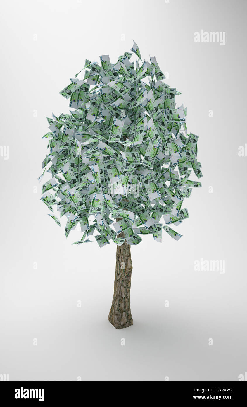 Un albero con foglie di dollaro Foto Stock