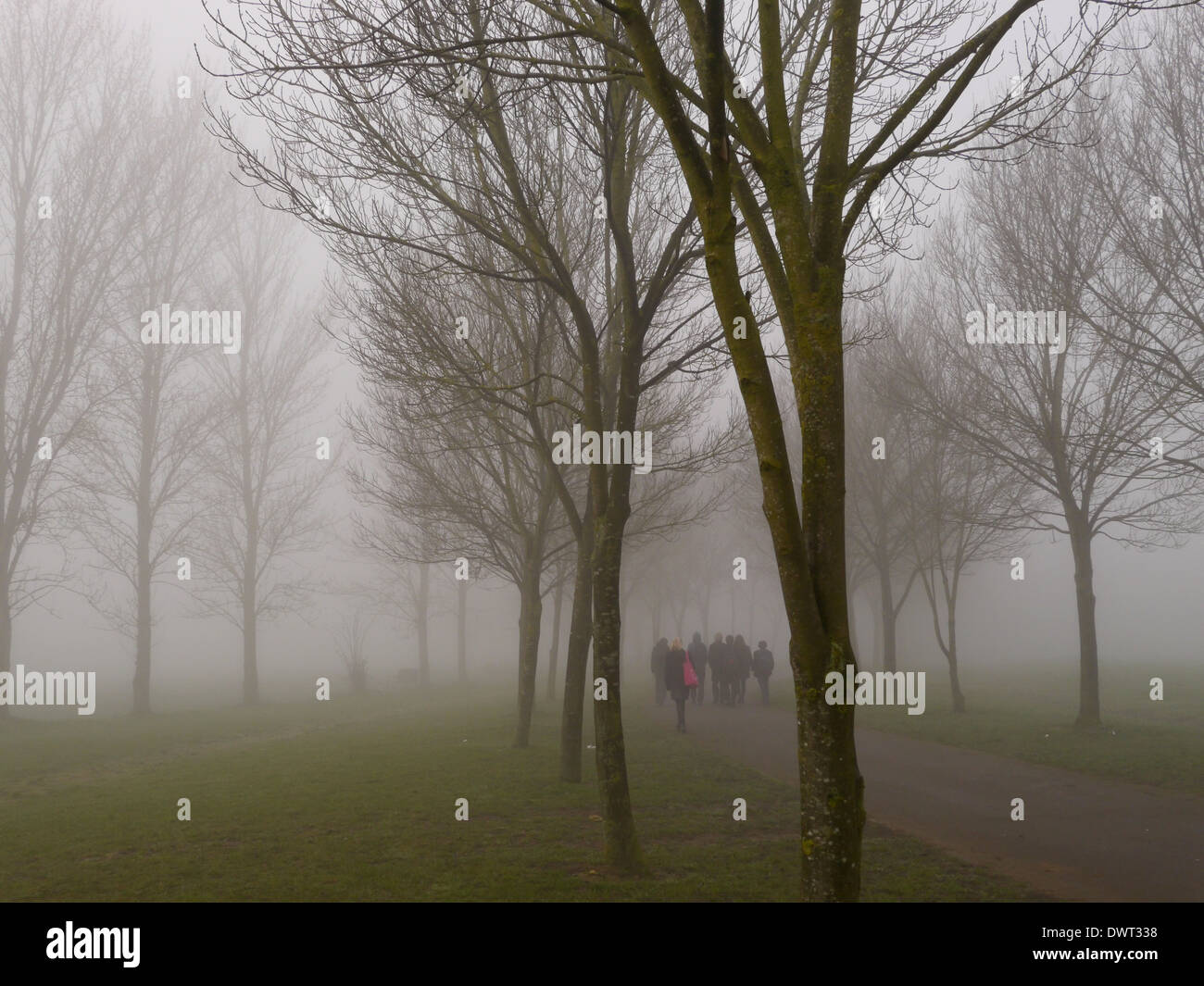 Un gruppo di bambini della scuola di andare a scuola a piedi nella nebbia attraverso gli alberi Foto Stock