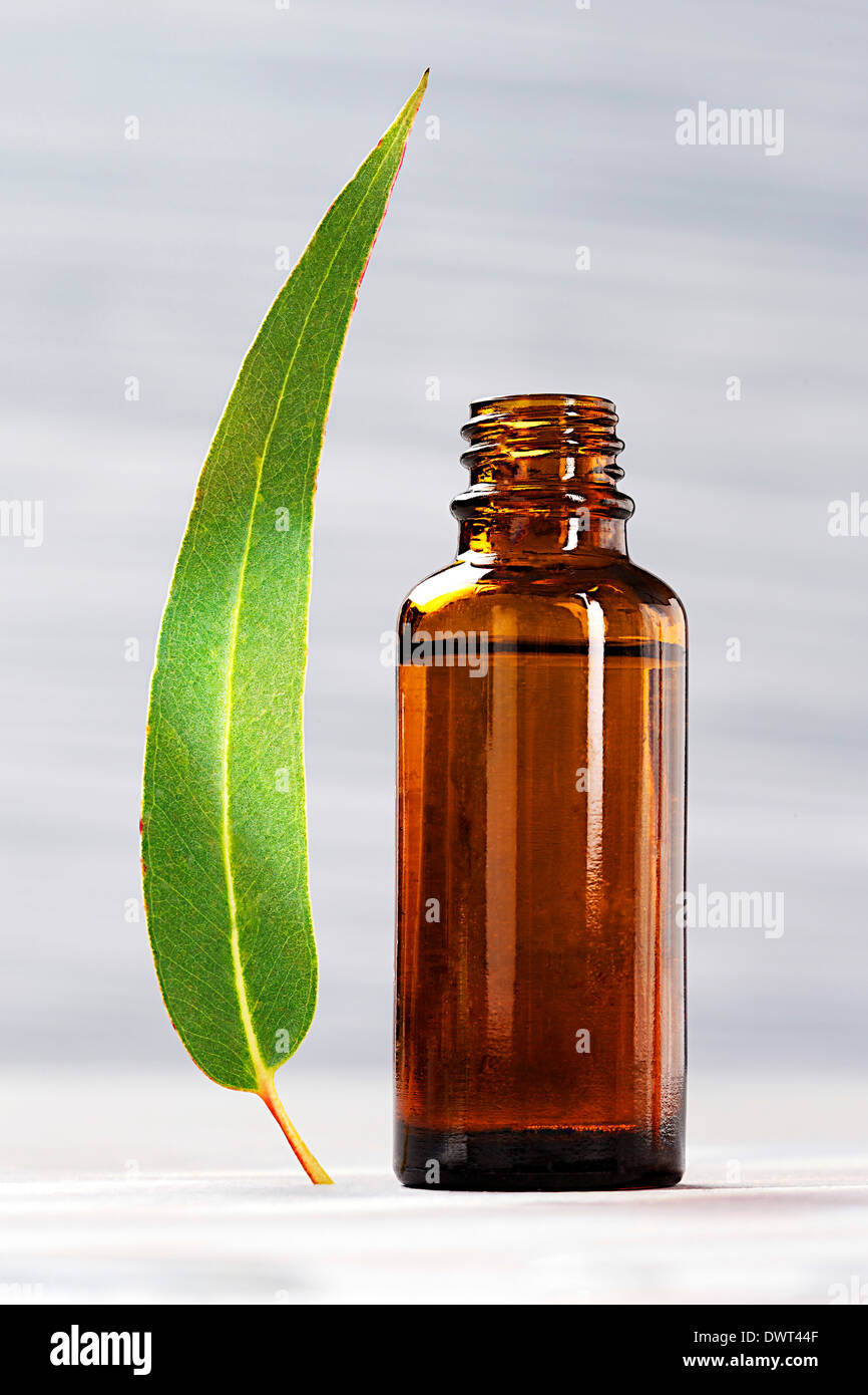 Olio essenziale Foto Stock
