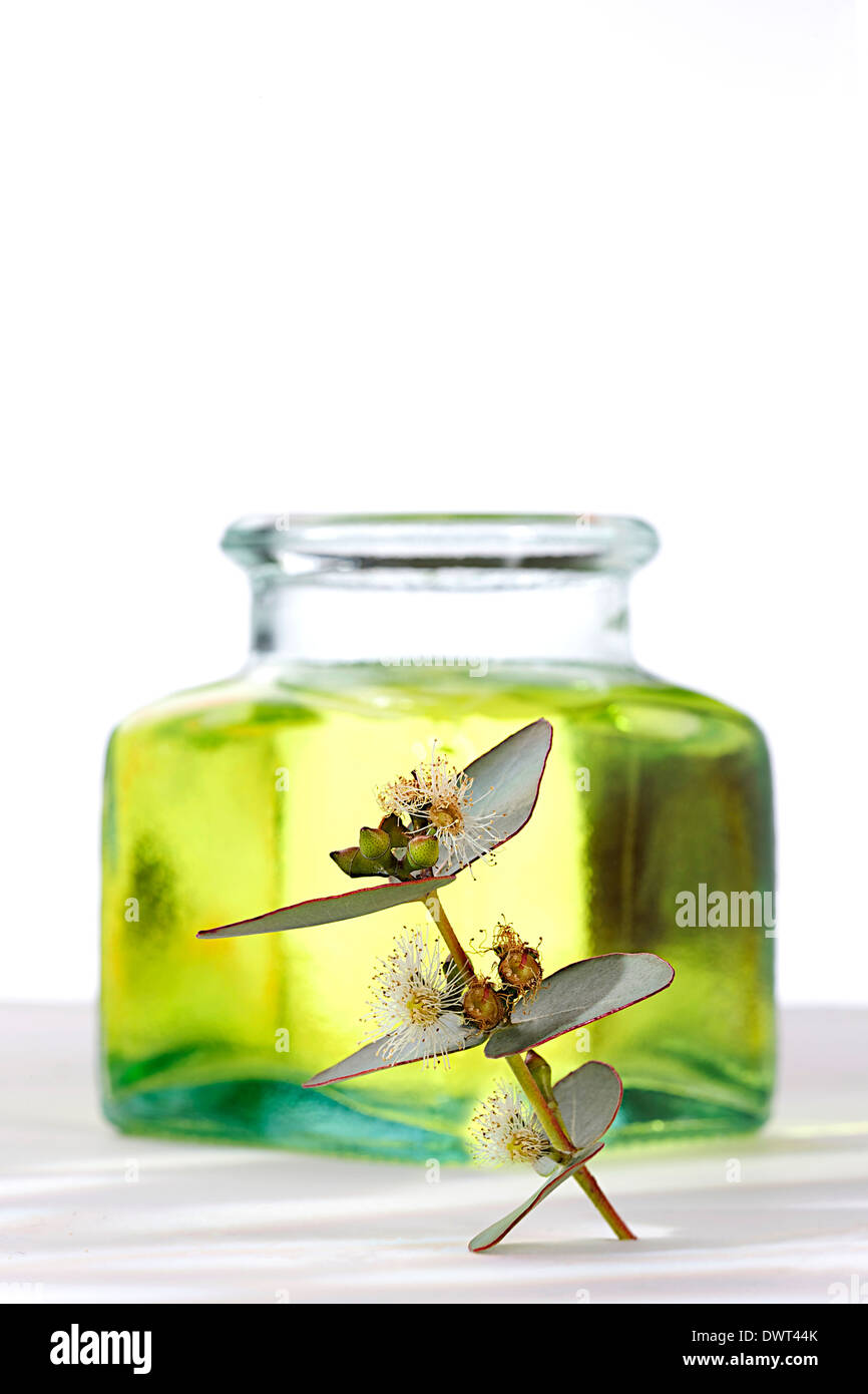 Olio essenziale Foto Stock