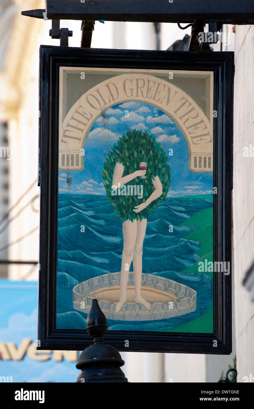 Il vecchio albero verde pub segno, bagno, Somerset, Inghilterra, Regno Unito Foto Stock