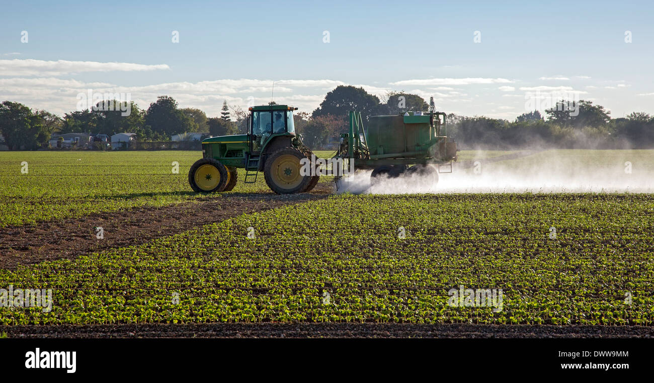 Florida City, Florida - un conducente del trattore spray antiparassitario su un raccolto. Foto Stock