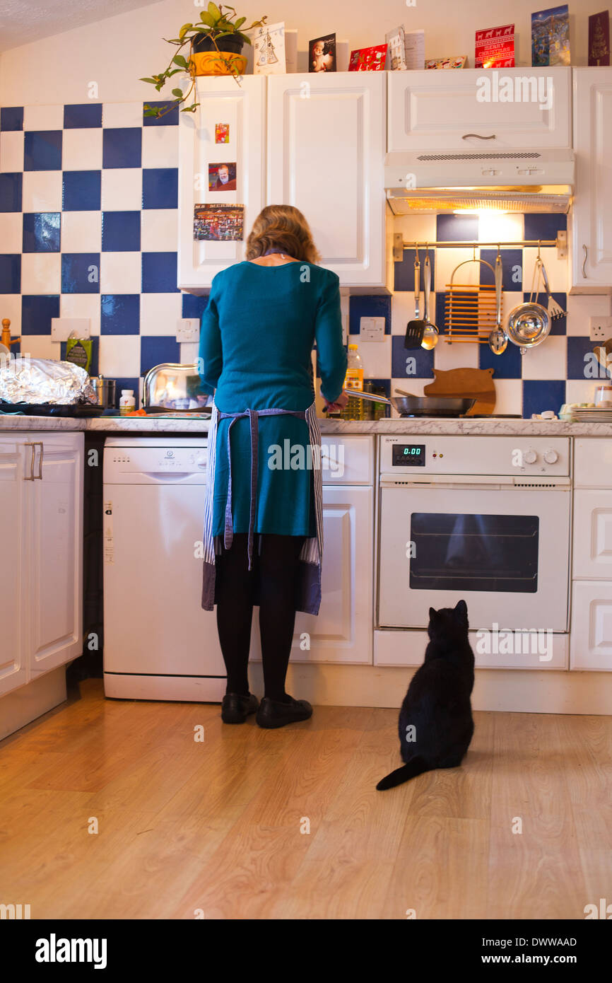 Le donne durante la cottura il gatto si affaccia su Foto Stock