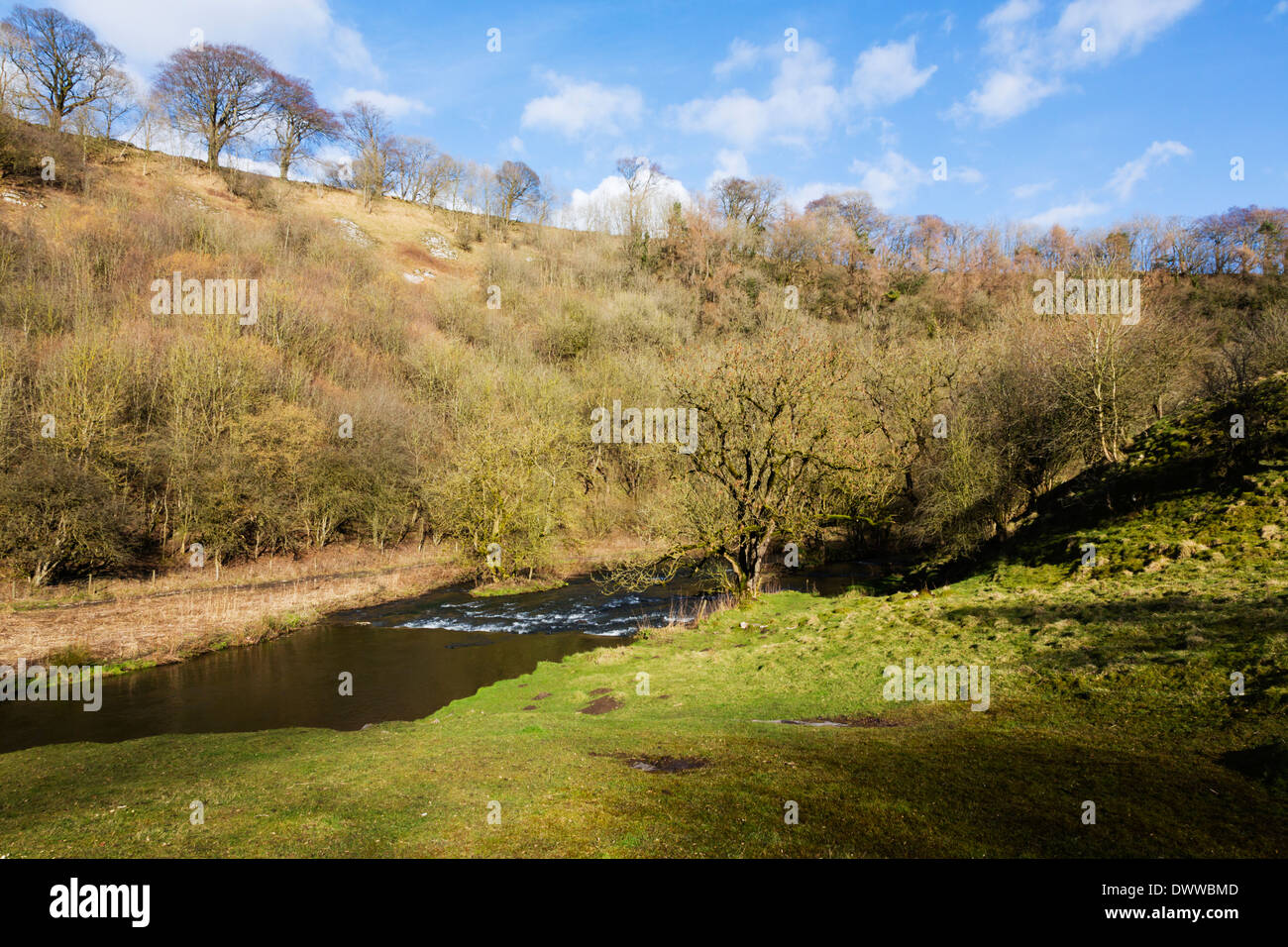 Fiume Wye a Millers Dale, Peak District, Derbyshire, Inghilterra Foto Stock