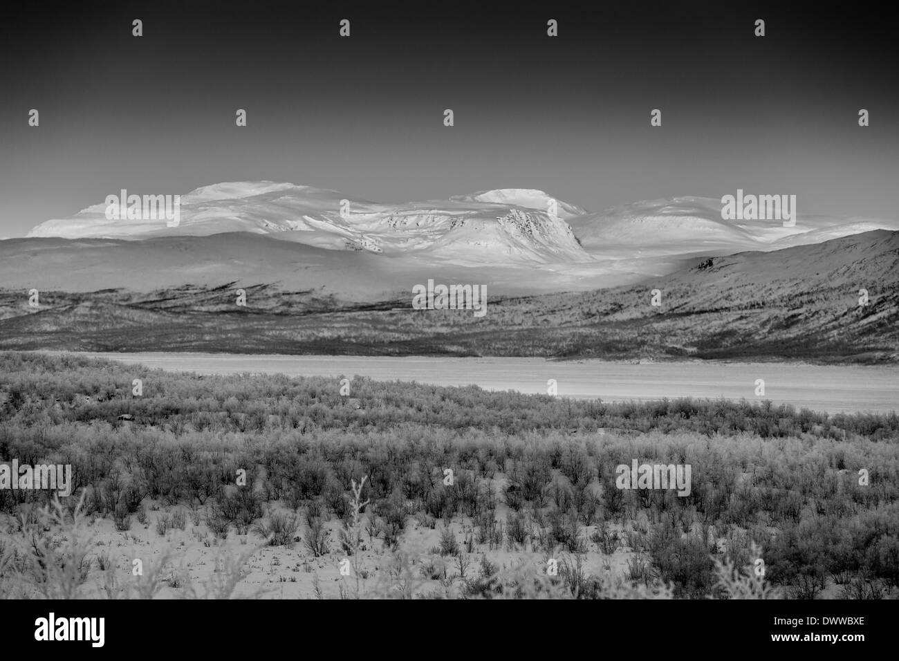 Paesaggio congelato, basse temperature, Lapponia, Svezia Foto Stock