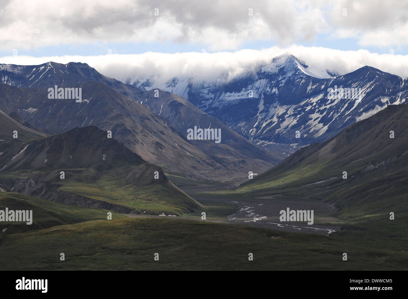 Deserto.Denali National Park. Alaska Foto Stock