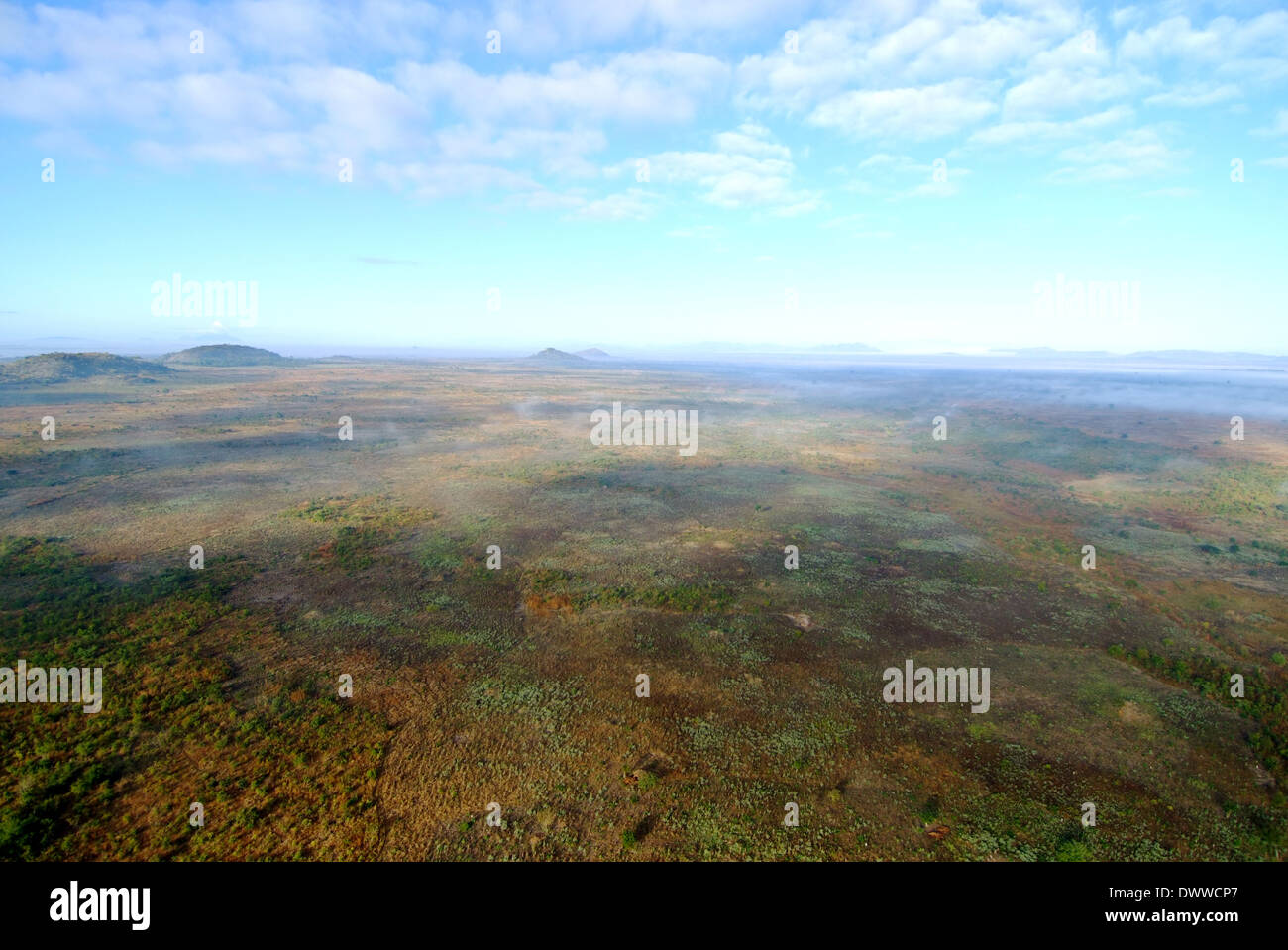 La distruzione della foresta naturale in Mozambico,non è una struttura ad albero a sinistra Foto Stock