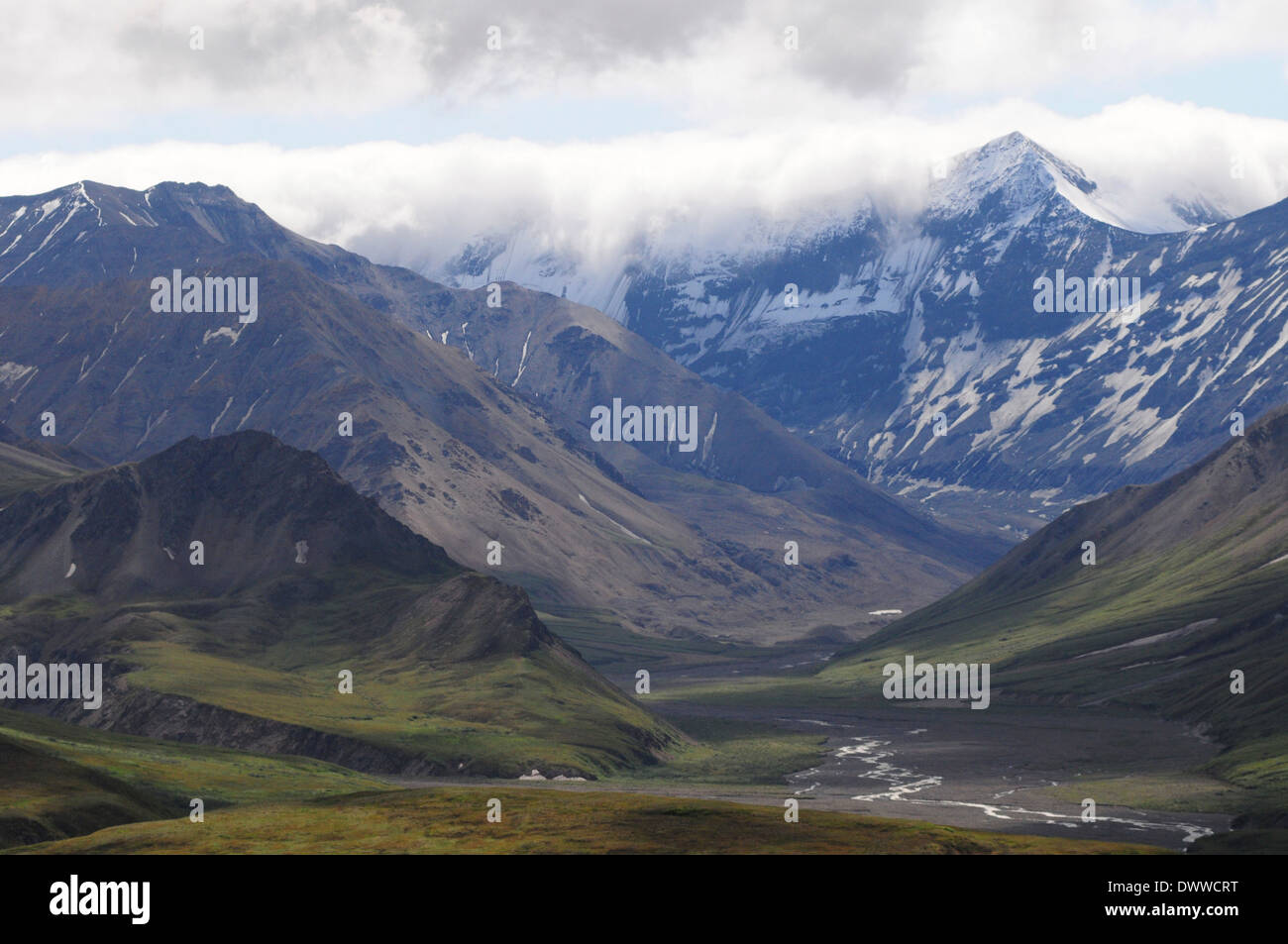 Deserto.Denali National Park.Alaska Foto Stock
