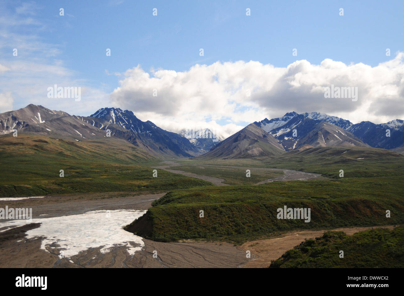 Vista dal Pass policromo, Parco Nazionale di Denali, Alaska. Foto Stock