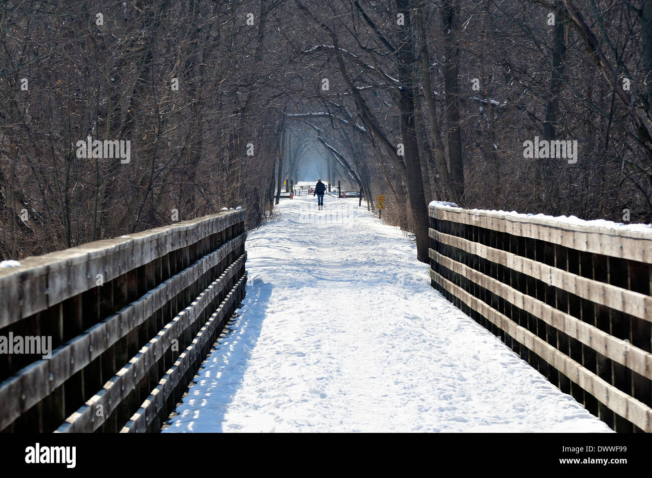 Sentiero natura oltre il ponte e attraverso la tettoia d'inverno. Foto Stock