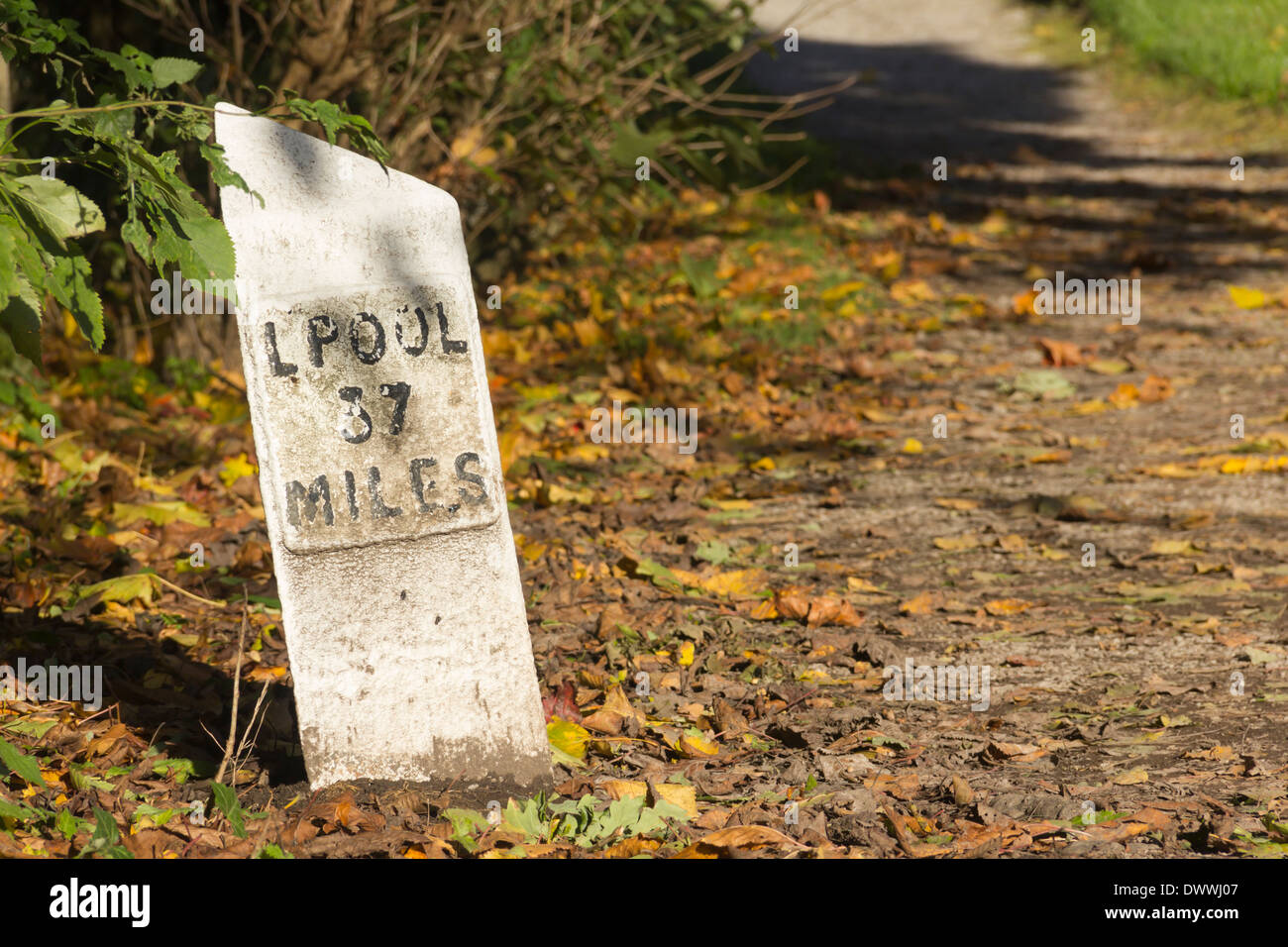 Il 37 miglio pietra miliare sul canale Leeds-Liverpool a Aspull vicino a Wigan. Foto Stock