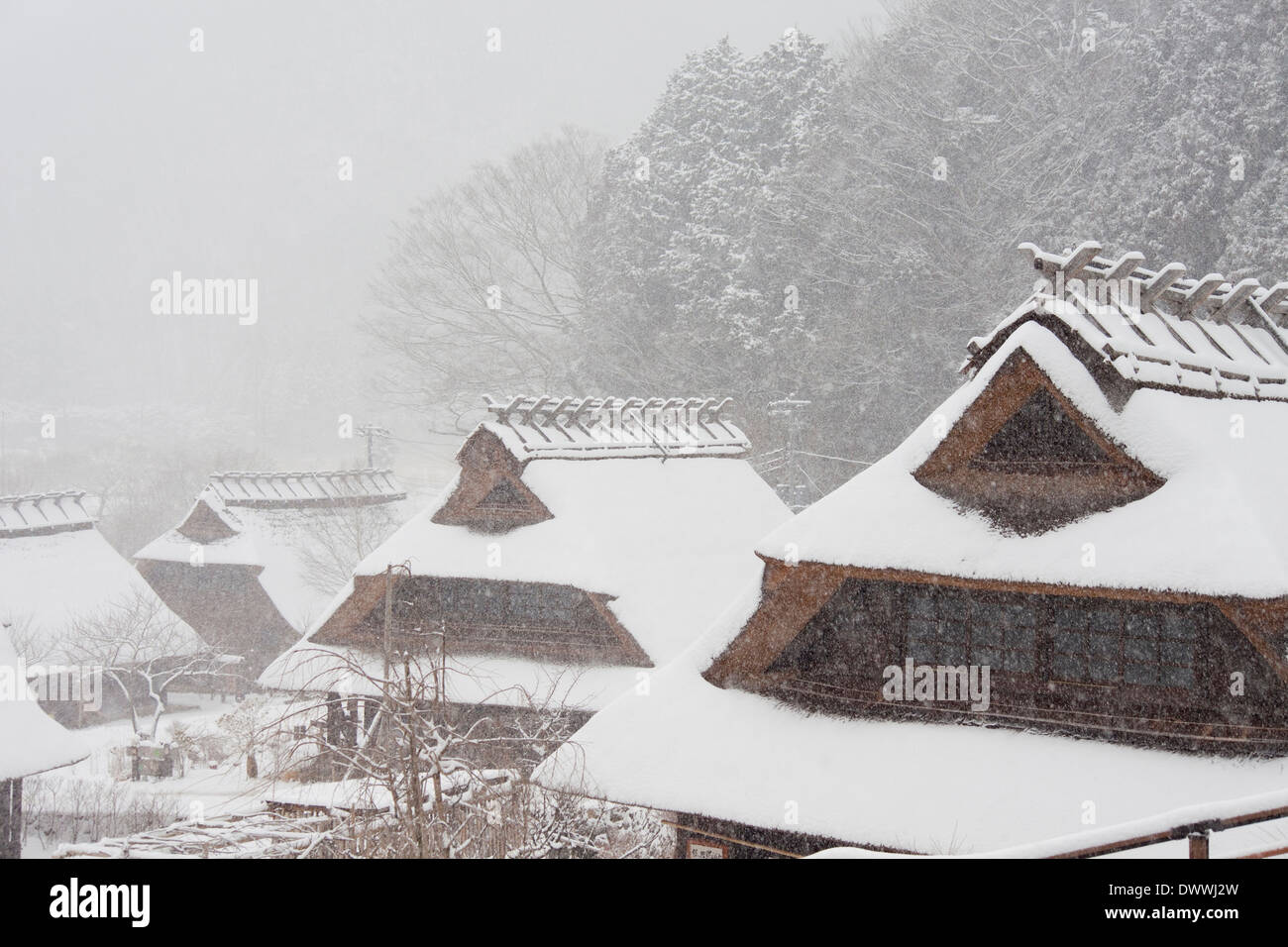 Case dai tetti di paglia, Prefettura di Yamanashi, Giappone Foto Stock