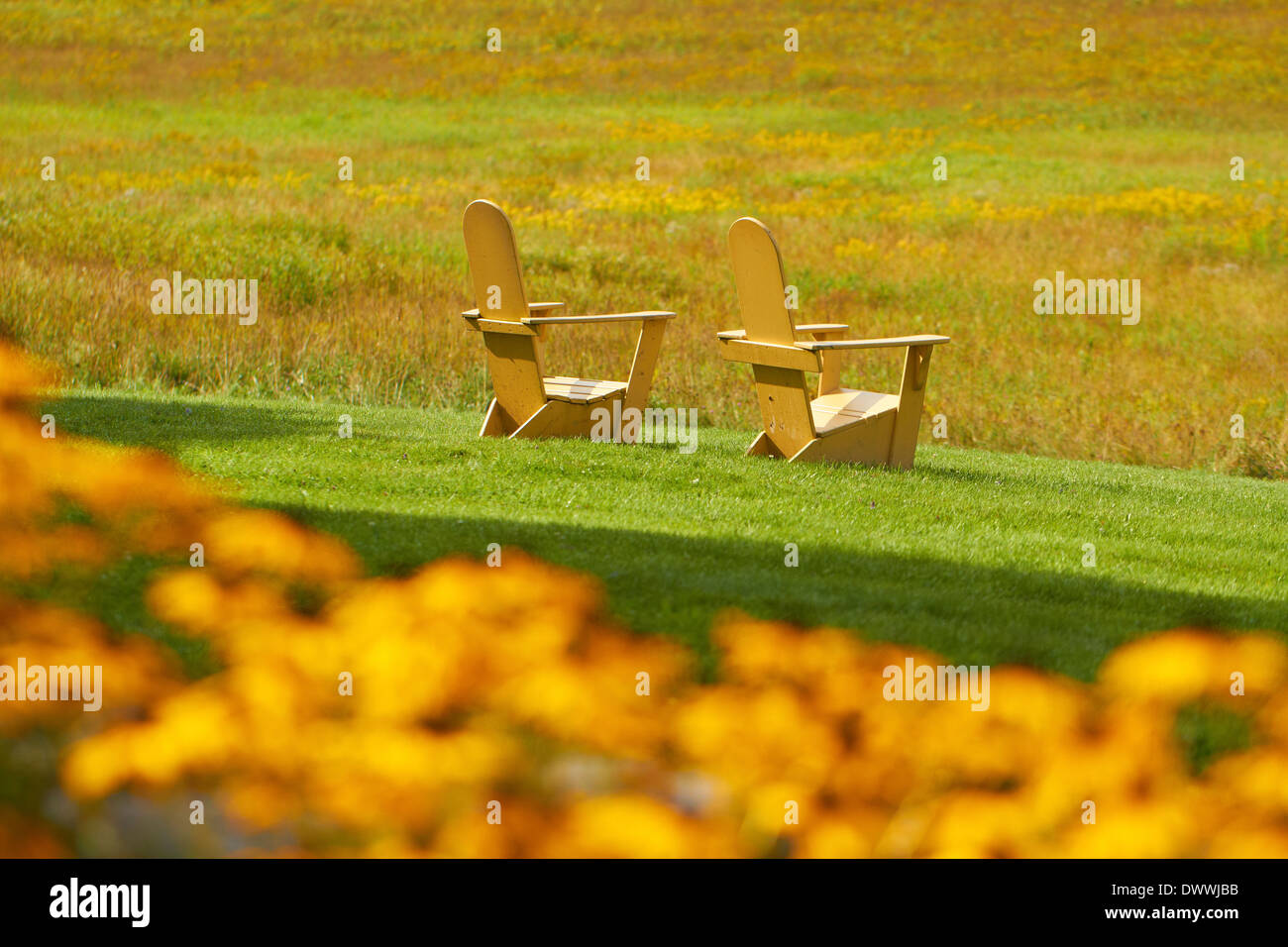 Poltrone Adirondack nel campo Foto Stock