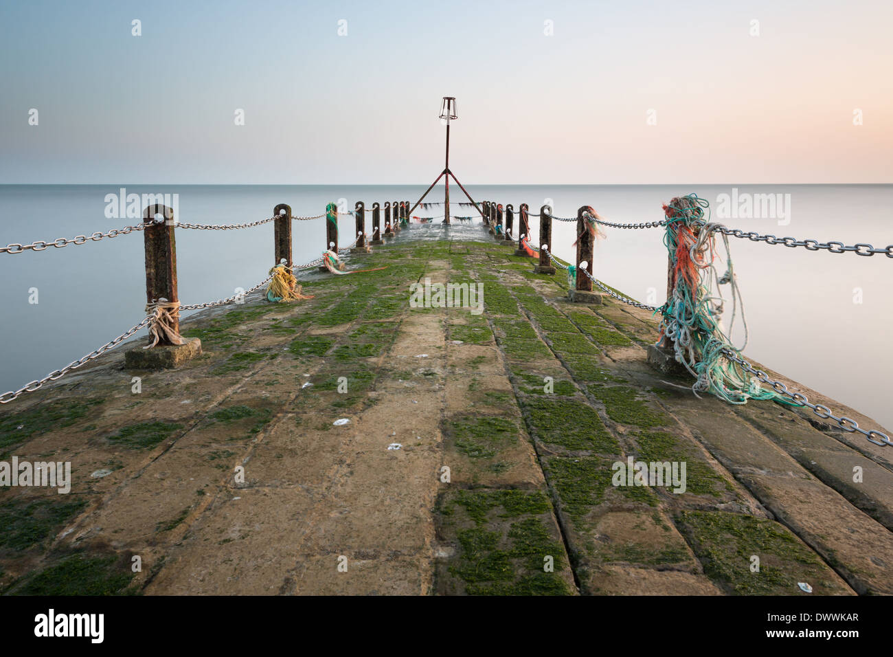 La spiaggia di Brighton groyne con alghe marine Foto Stock