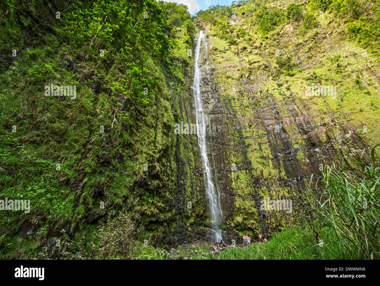 La spettacolare e grandi Waimoku Falls in Maui. Foto Stock