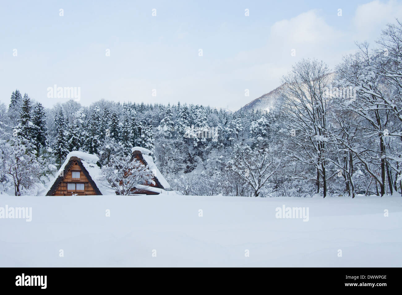 Vecchie case nel villaggio di Shirakawa in inverno, Prefettura di Gifu, Giappone Foto Stock Vecchie case nel villaggio di Shirakawa in inverno, Prefettura di Gifu, Giappone Foto Stock