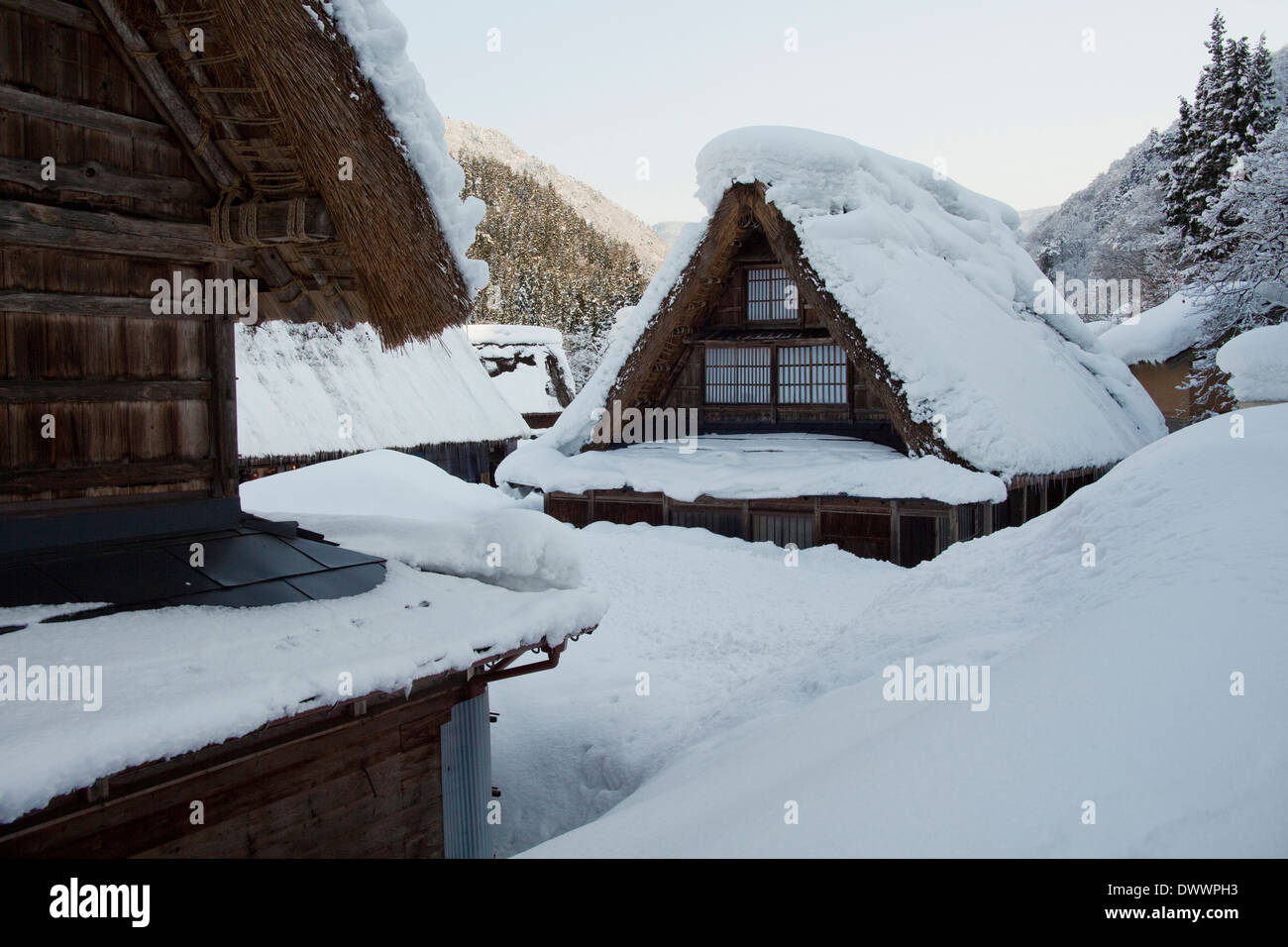Vecchie case nel villaggio di Shirakawa in inverno, Prefettura di Gifu, Giappone Foto Stock Vecchie case nel villaggio di Shirakawa in inverno, Prefettura di Gifu, Giappone Foto Stock