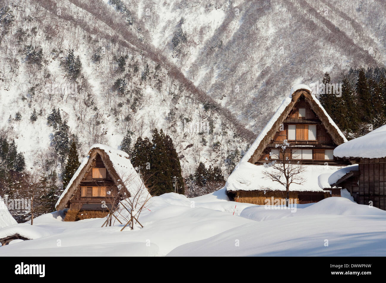Vecchie case nel villaggio di Shirakawa in inverno, Prefettura di Gifu, Giappone Foto Stock Vecchie case nel villaggio di Shirakawa in inverno, Prefettura di Gifu, Giappone Foto Stock