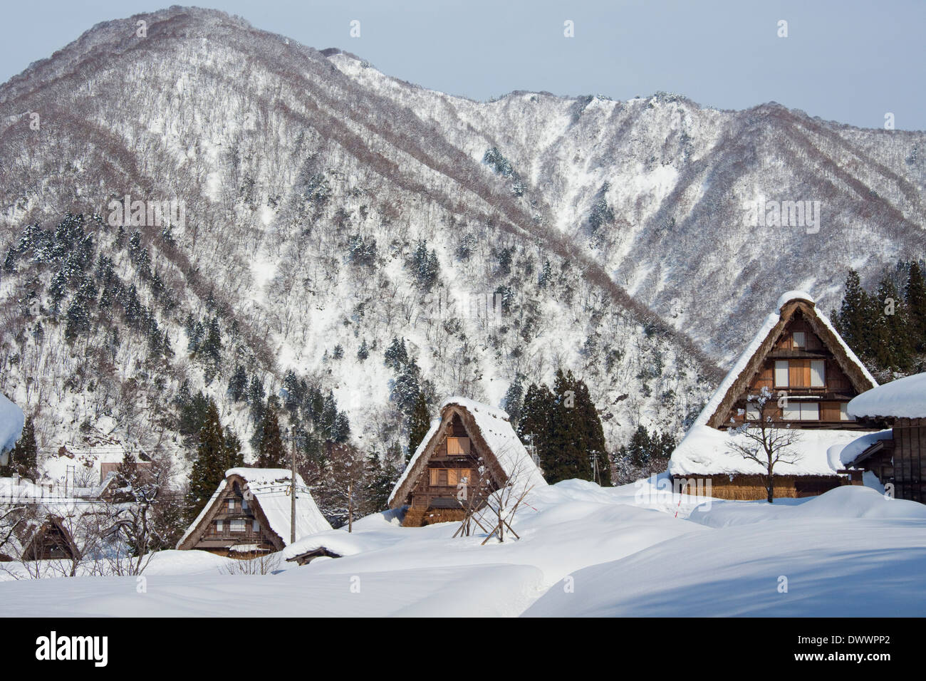 Vecchie case nel villaggio di Shirakawa in inverno, Prefettura di Gifu, Giappone Foto Stock Vecchie case nel villaggio di Shirakawa in inverno, Prefettura di Gifu, Giappone Foto Stock
